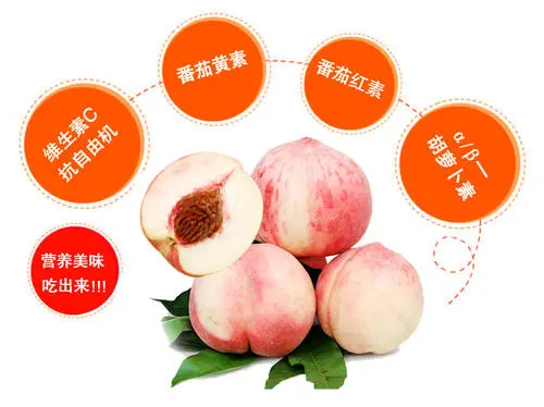 桃子的功效与作用 桃子的营养价值有哪些