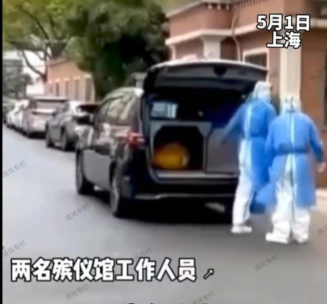 上海一家孤儿院送活人进殡仪馆，官方回应：属实