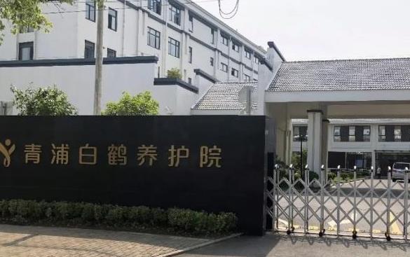 上海比较好的老人护理院有哪些？青浦区白鹤养护院费用