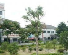 杭州市灵山养老院